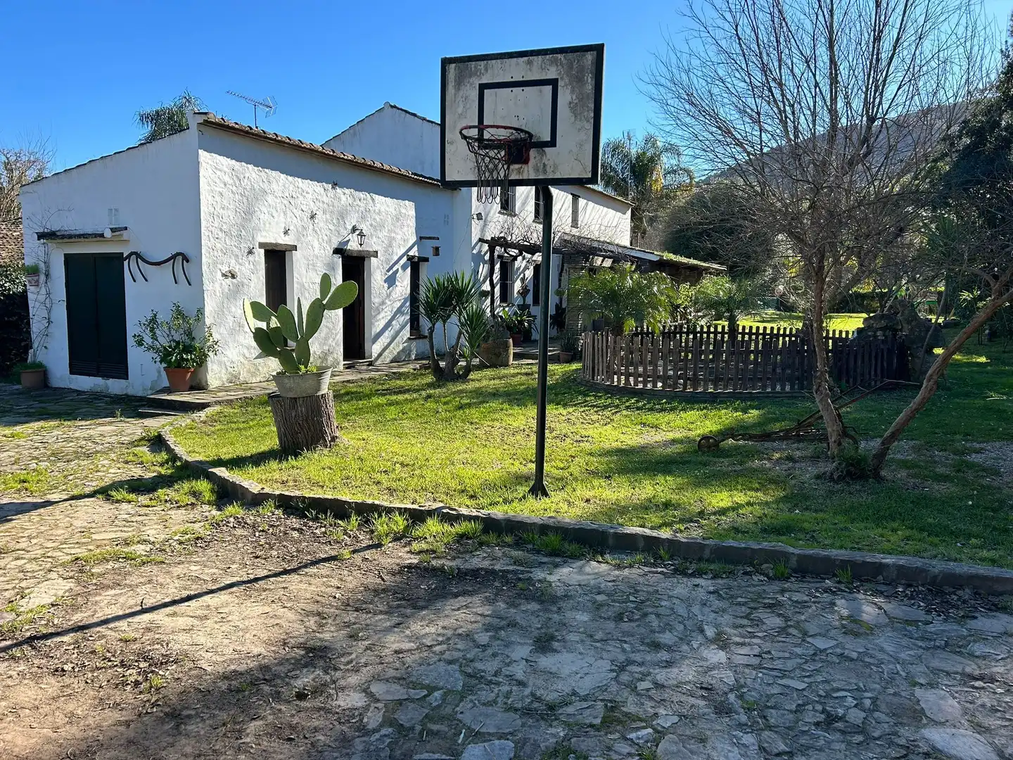 Casa rústica amb jardí en venda a Calle Pasada de Alcalá, imagen 12