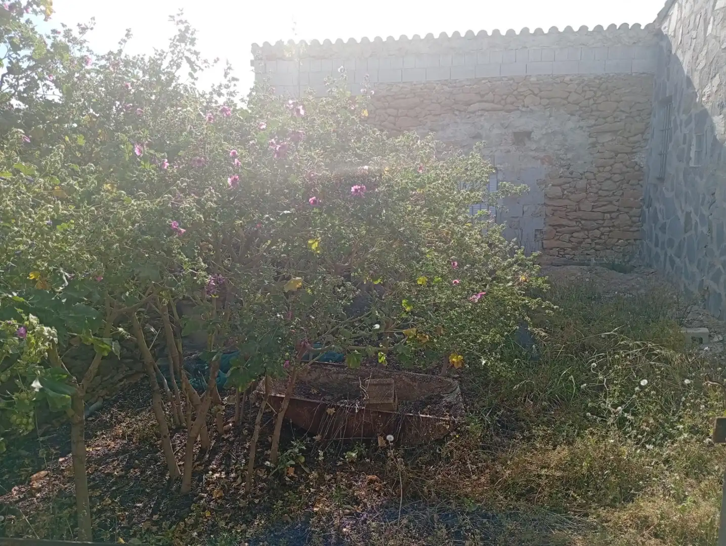 House for sale in Llíber, imagen 27