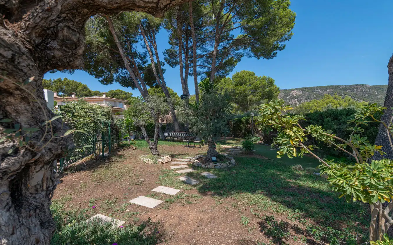 Finca rústica en venda a Cas Català - Illetes
