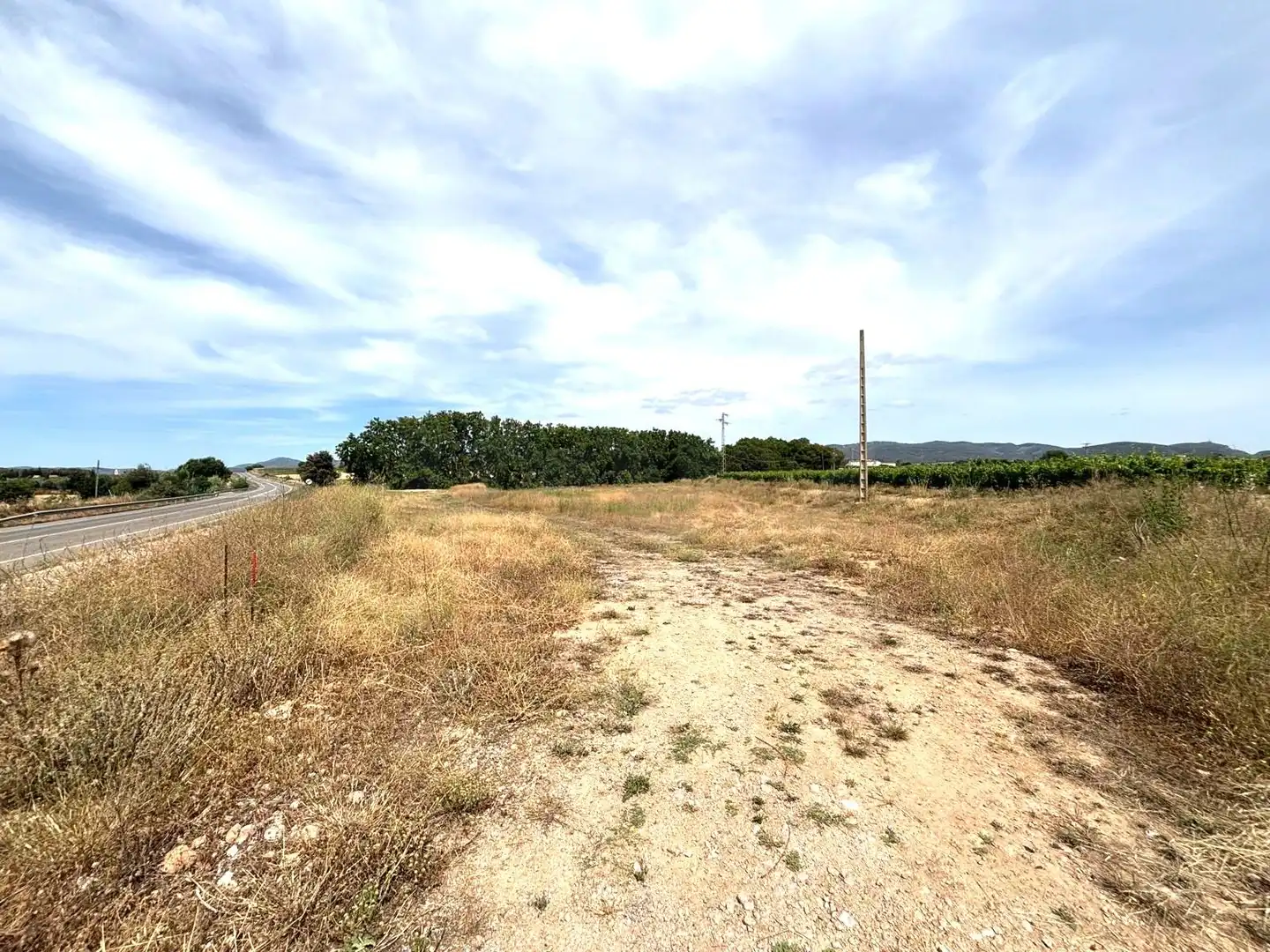 Terreny rústic en venda a Banyeres del Penedès, imagen 5