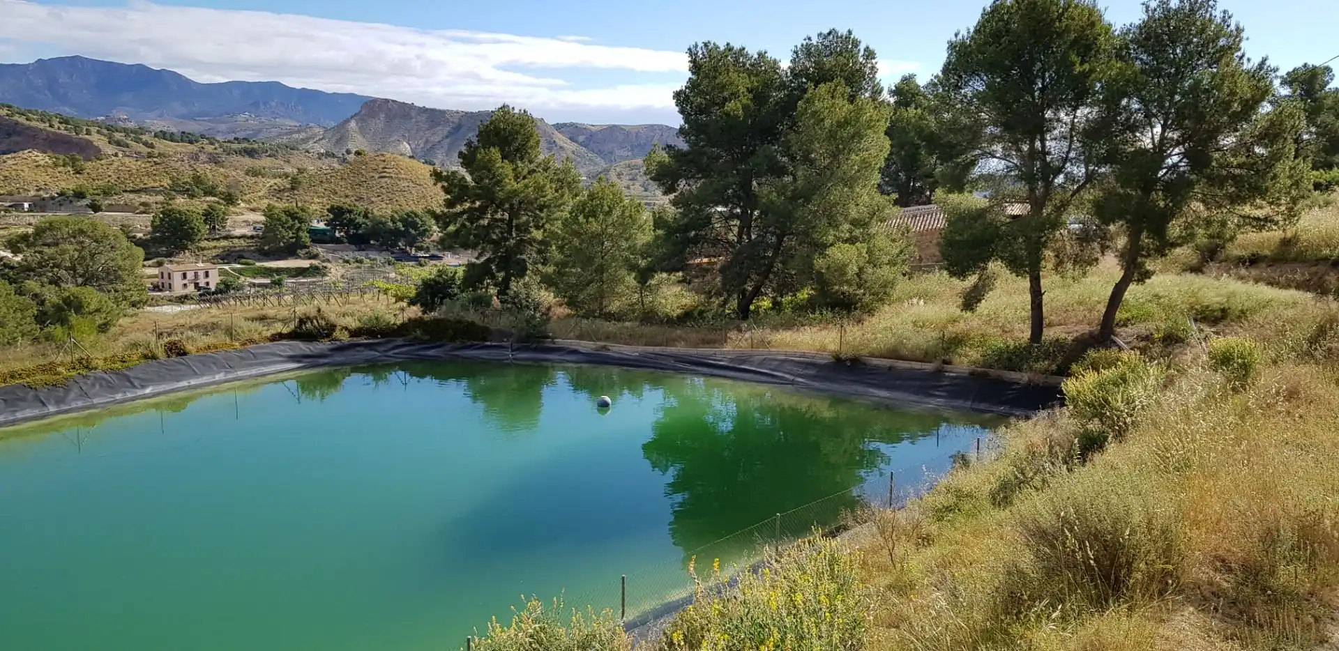 Piscina de Casa o chalet en venta en Aledo con Terraza y Trastero