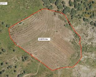 Land for sale in Navaconcejo