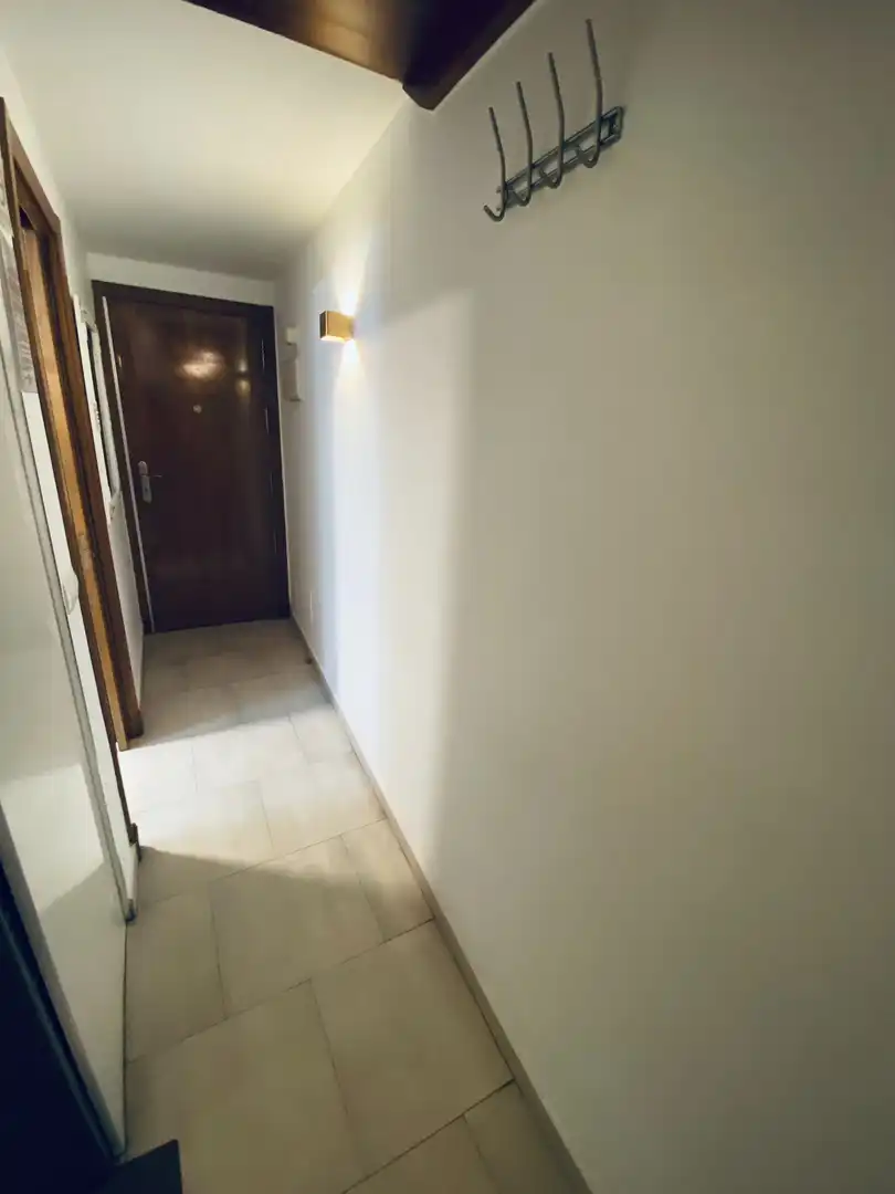 Estudio en alquiler en Centro, imagen 27