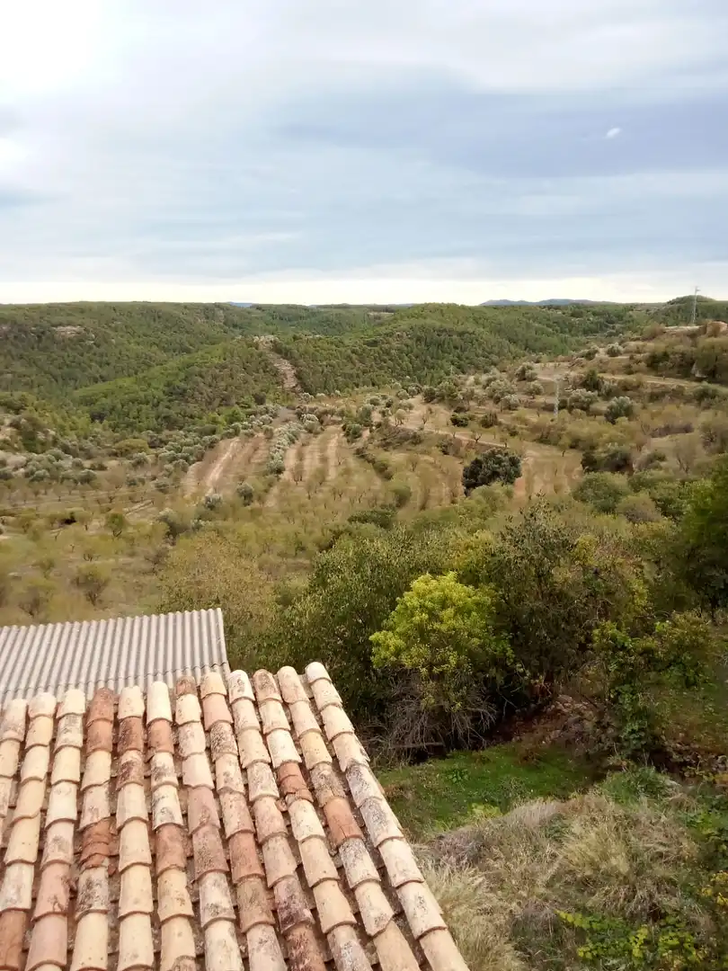 Casa o chalet en venta en Fórnoles con Jardín privado