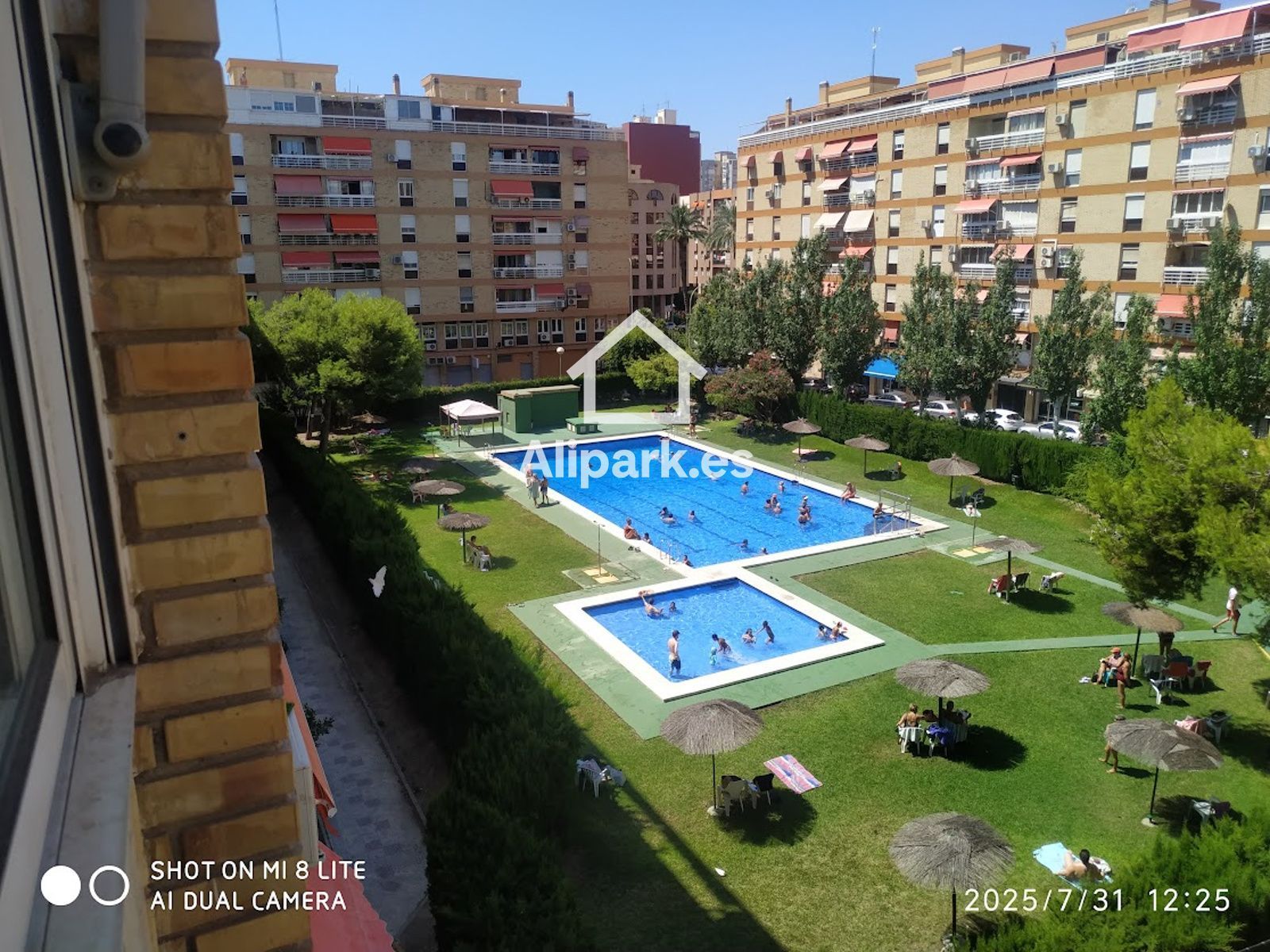 Swimming pool of Flat to rent in Alicante / Alacant  with Air Conditioner, Terrace and Swimming Pool