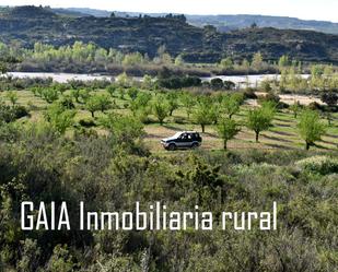 Exterior view of Land for sale in Mazaleón