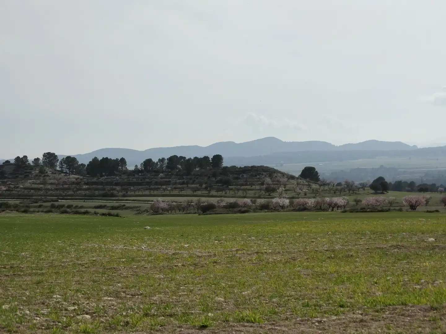Terreni e lotti in vendita a Moratalla, imagen 10
