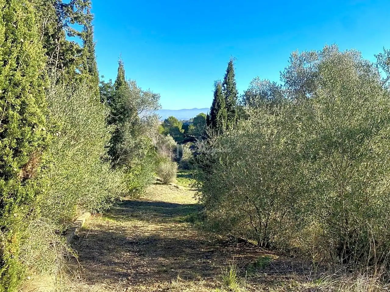 Terreno rustico in vendita a Pas de Berenguer, imagen 18