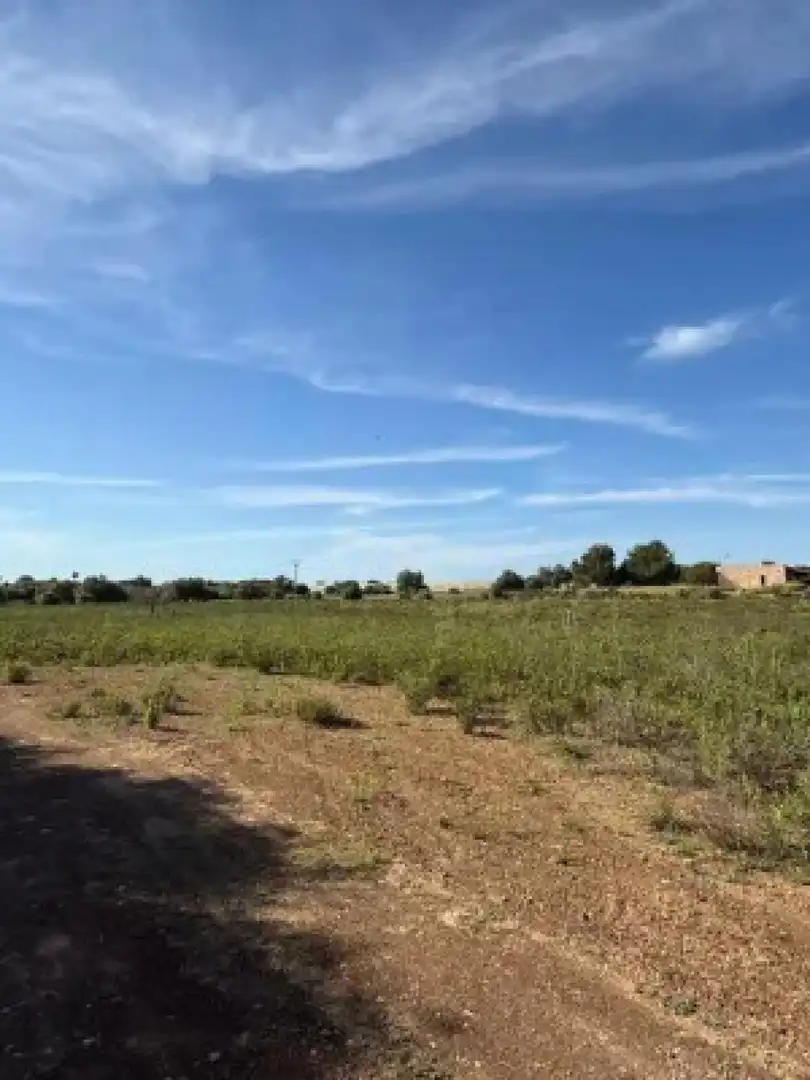 Terreny residencial en venda a Llucmajor - Camino d` Alacantí, imagen 6