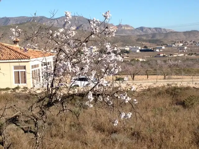 Terreno rustico in vendita a Hondón de los Frailes, imagen 5