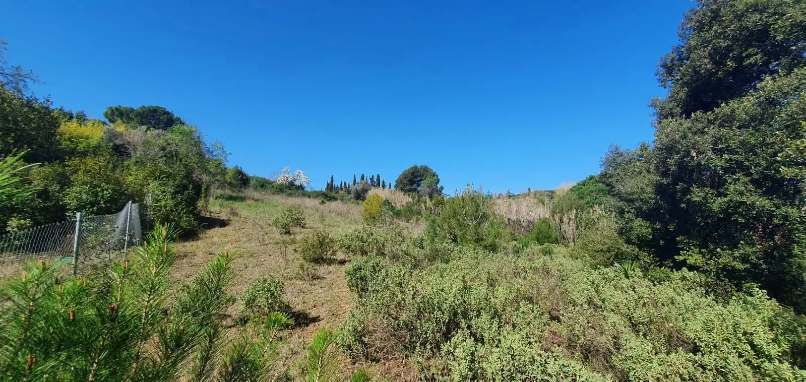 Grundstücke zum Verkauf in Dreta de l'Eixample