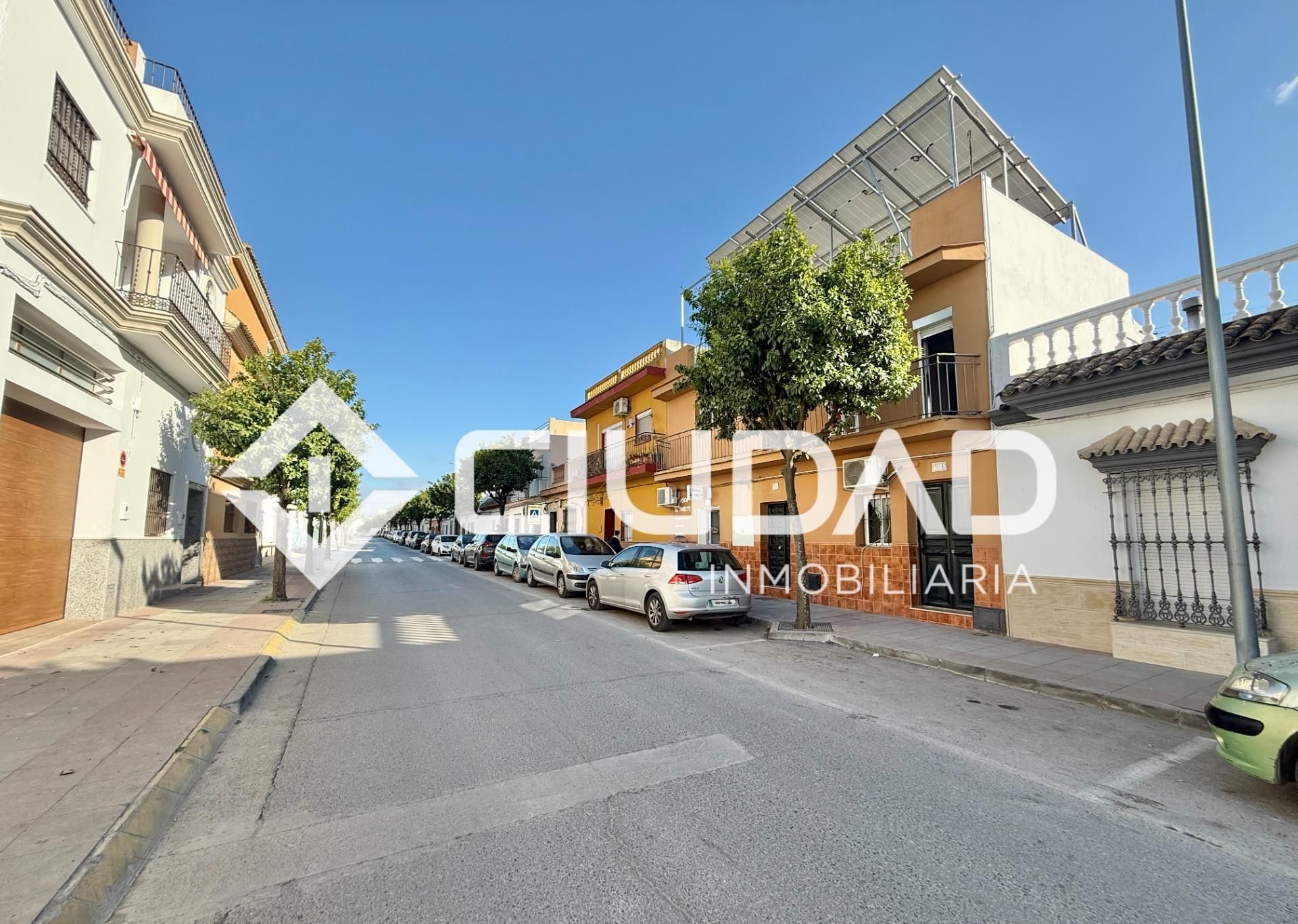 Exterior view of Houses for sale in El Cuervo de Sevilla