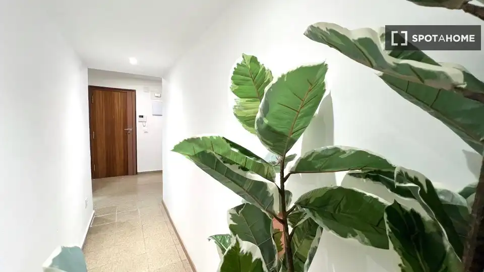 Piso de alquiler en Valencia con Aire acondicionado, Calefacción y Amueblado