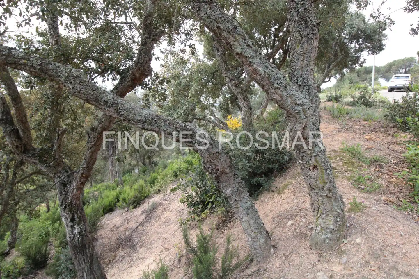 Terreni e lotti in vendita a Lloret Residencial - Montlloret, imagen 19