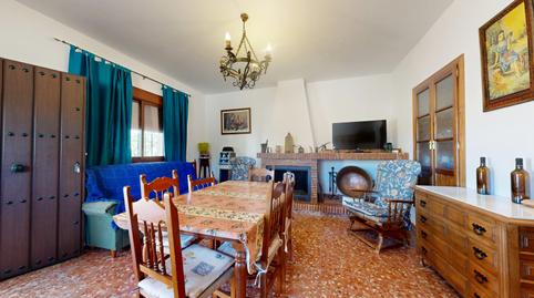 Photo 5 of Land for sale in  Pd Montecorto 1468 Polígono 12 Parcela 124, Partidas Norte, Málaga