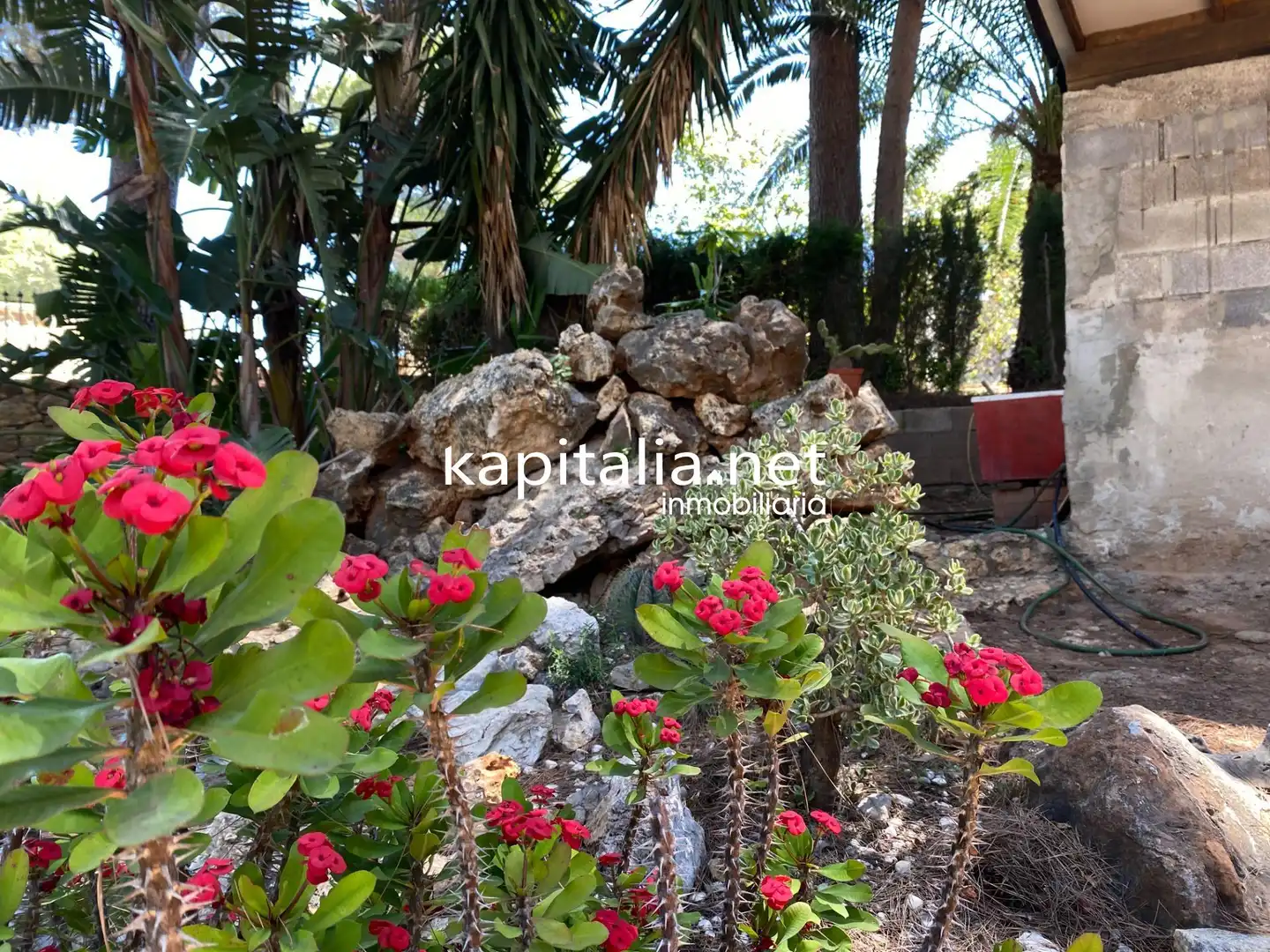 Jardín de Casa o chalet en venta en Alberic con Jardín privado, Piscina y Amueblado