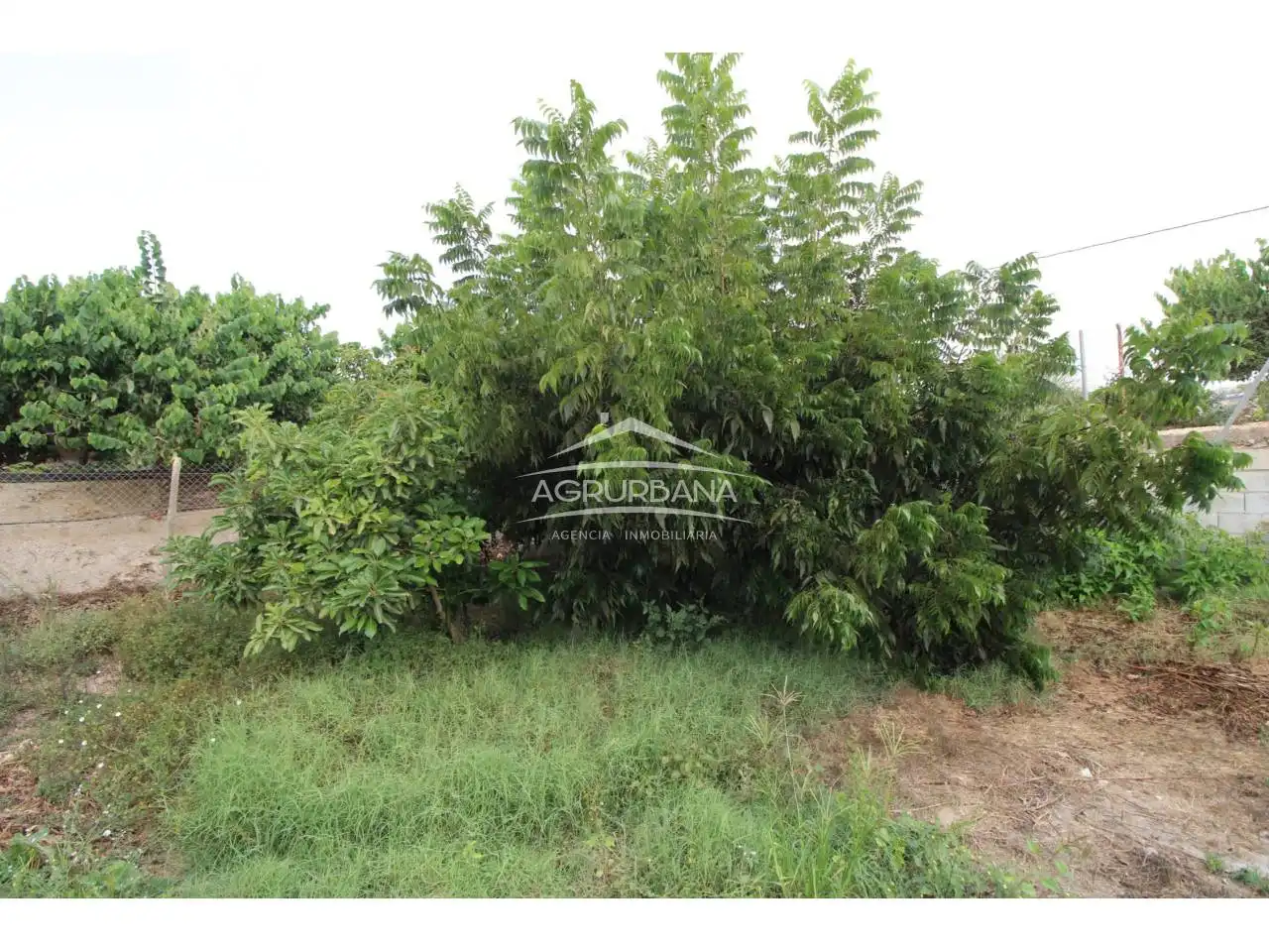 Country house with pool for sale in Poligono 29, imagen 28