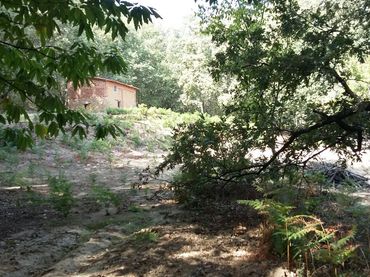 Terreno rústico en venta en Jarandilla de la Vera