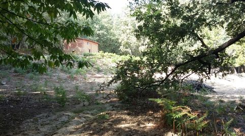 INMOEX VENDE FINCA EN JARANDILLA DE LA VERA 