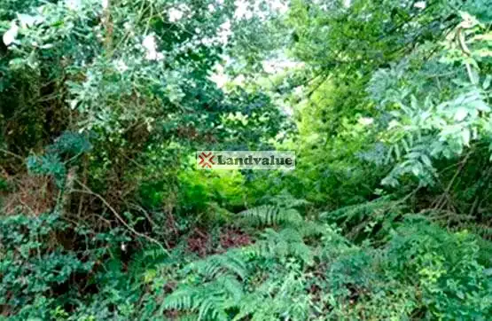 Terreny rústic en venda a Polígono 4 Parcelas 33, 64 y 74, imagen 5