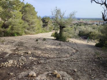 Terrain rustique à vendre à Vial Camino 277