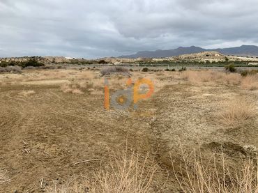 Terreny rústic en venda a Cuevas del Almanzora pueblo