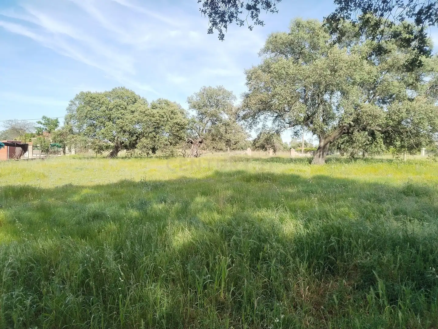Terreny en venda en Casar de Cáceres