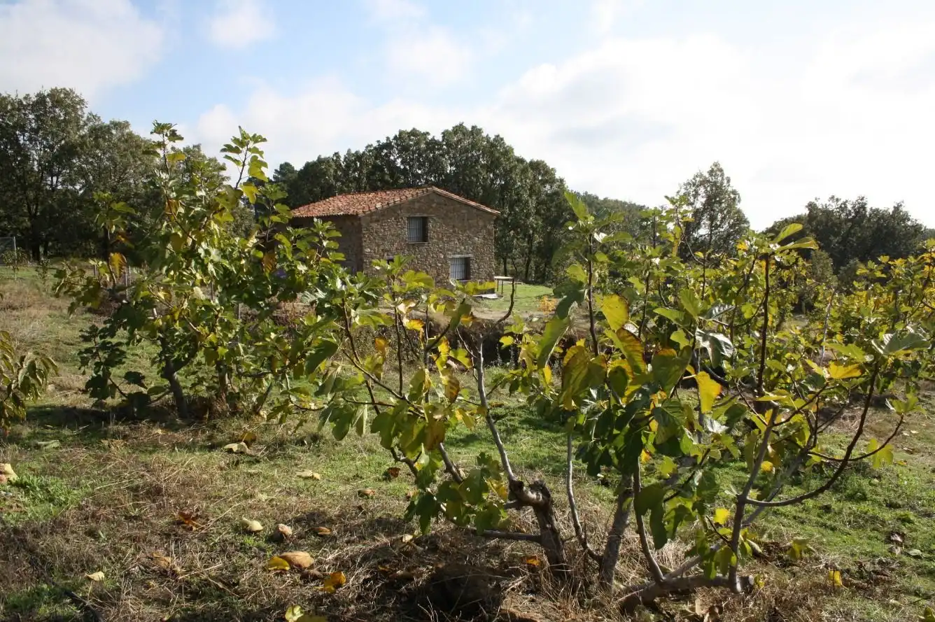 Vista exterior de Finca rústica en venta en Torremenga con Jardín privado, Terraza y Amueblado
