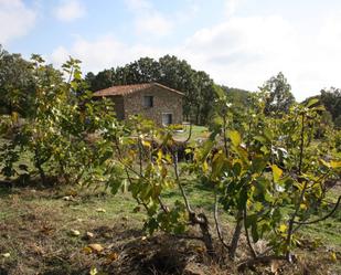 Vista exterior de Finca rústica en venda en Torremenga amb Terrassa