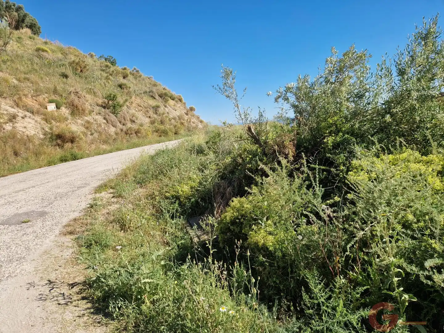 Terrenys i solars en venda a Monte los Almendros - El Pargo - Costa Aguilera, imagen 9
