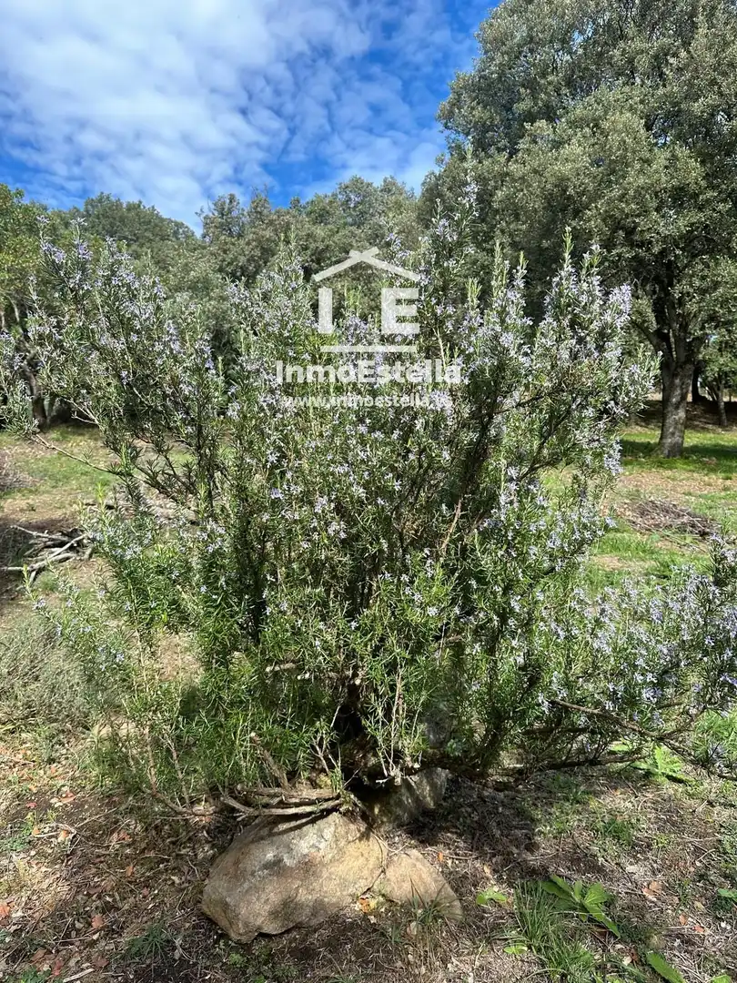 Residential for sale in Goñi