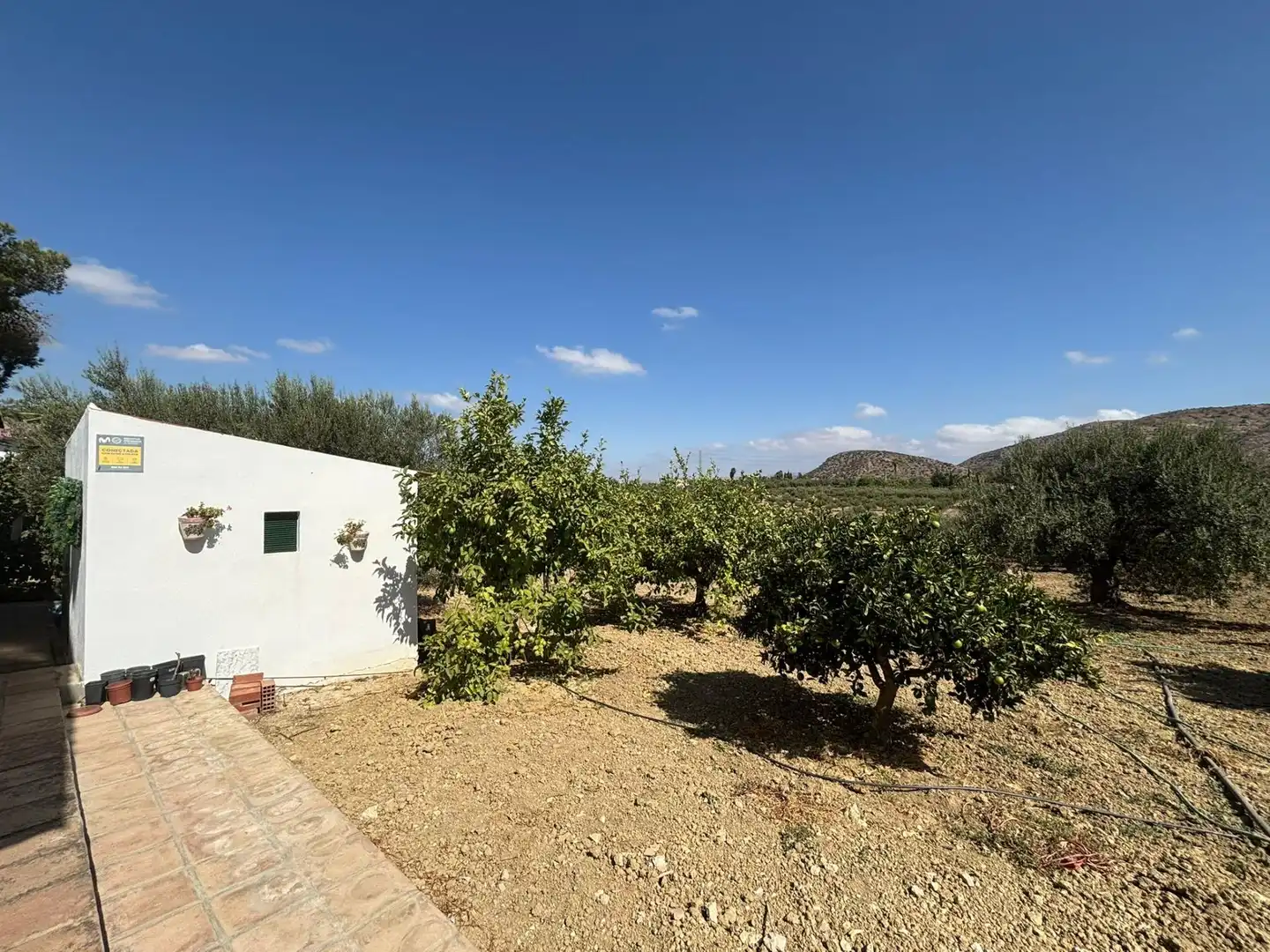 Casa rústica amb piscina en venda a Camino de Los Javieles, imagen 29