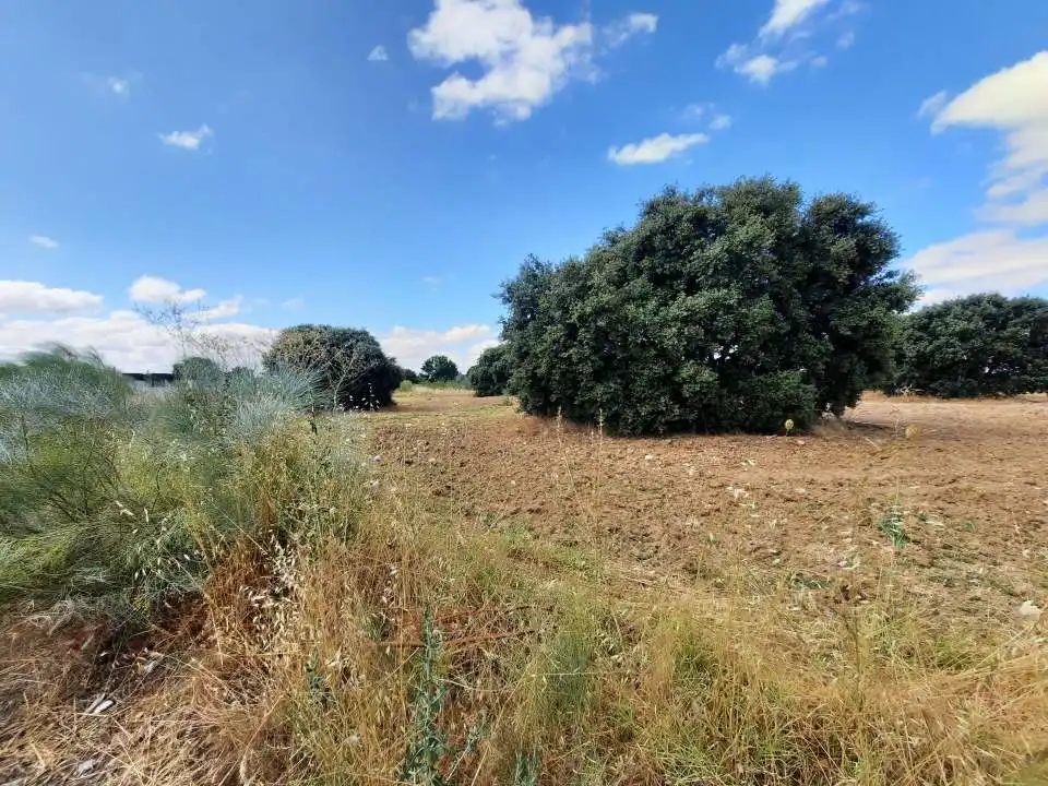 Terreno residencial en venta en Escalona, imagen 4