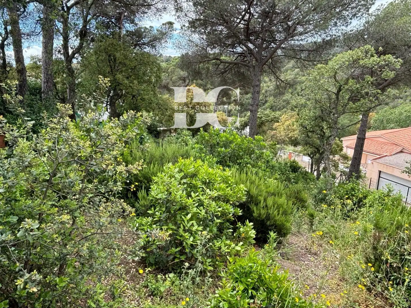 Residential land for sale in Cardona, imagen 3