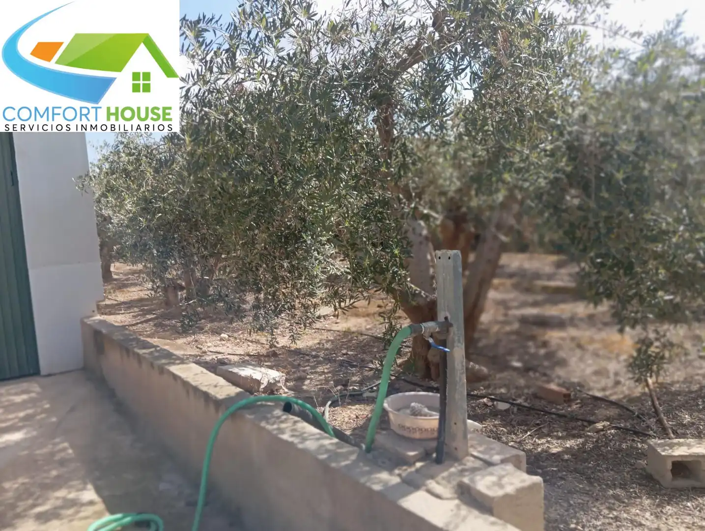 Terreno en venta en Fuente Álamo de Murcia
