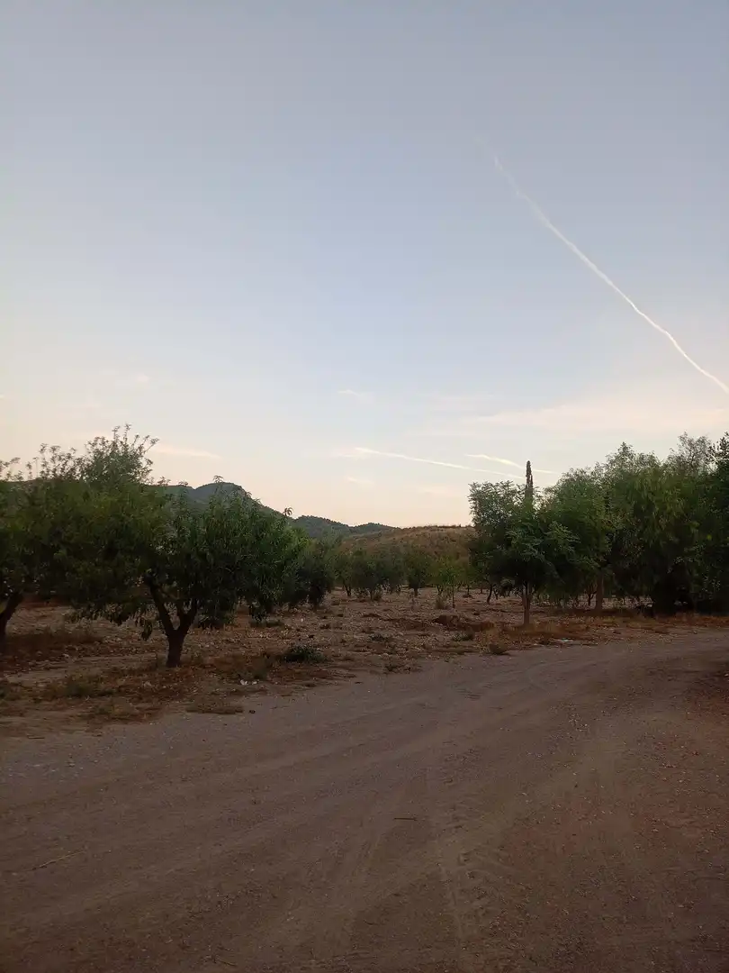 Country homes for sale in Lorca