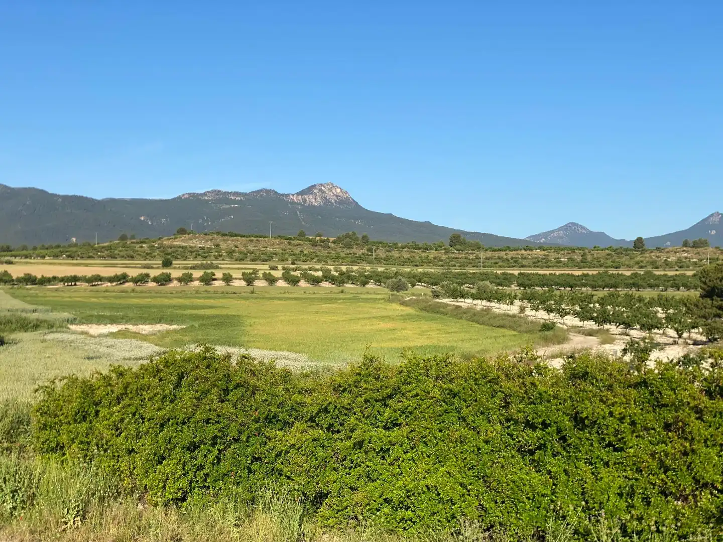 Villa à vendre à Moratalla, imagen 12