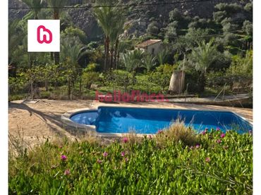 Xalet amb piscina en venda a Orihuela ciudad