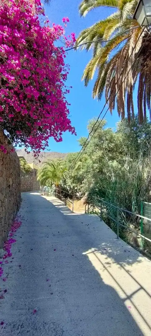 Vista exterior de Finca rústica en venta en Santa Lucía de Tirajana con Trastero
