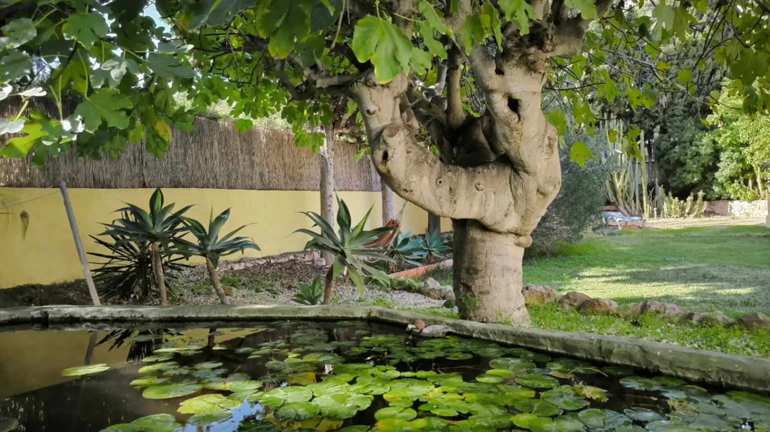 Jardí de Casa o xalet en venda en La Fustera  