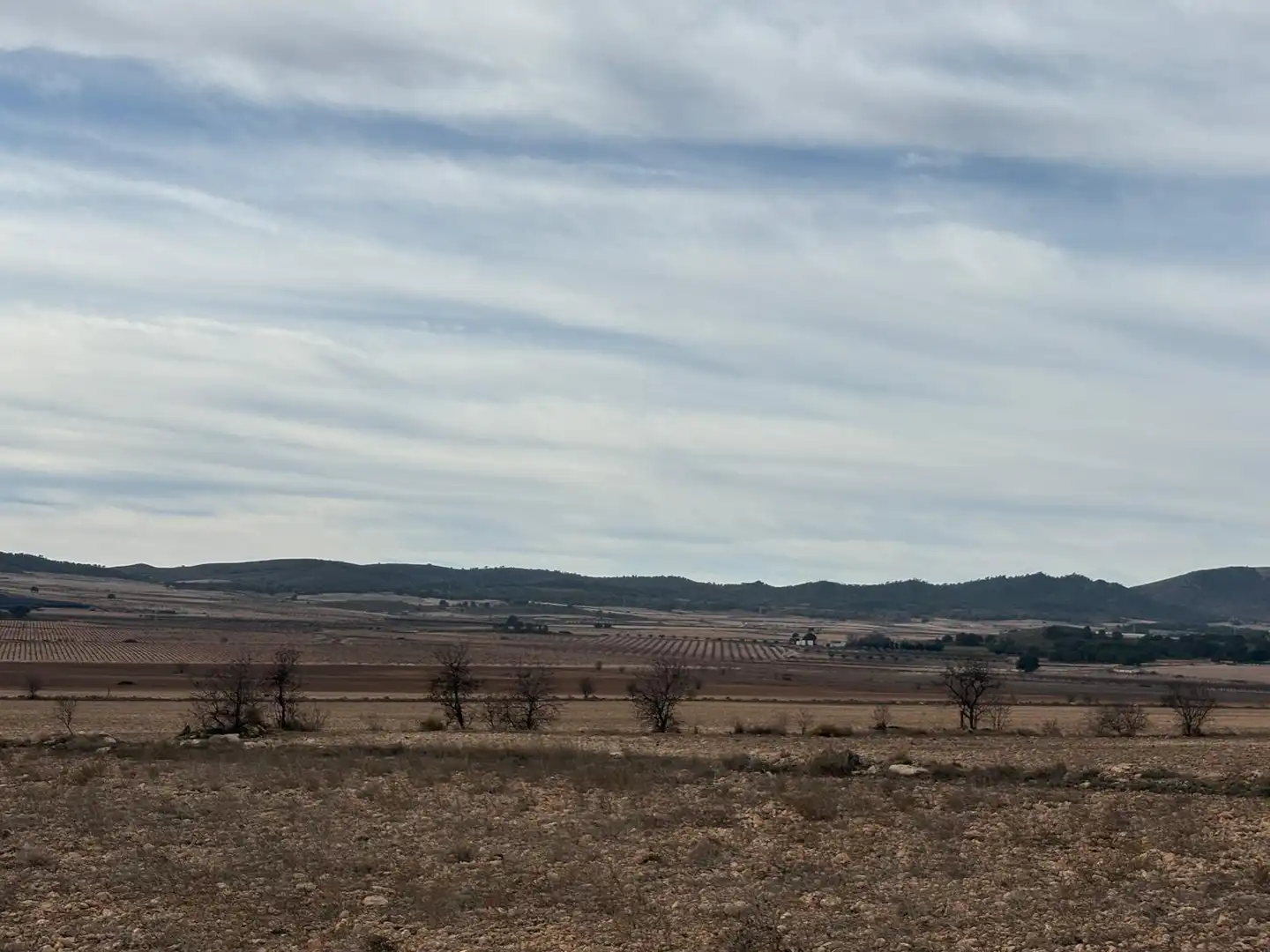 Finca rústica en venta en Ontur