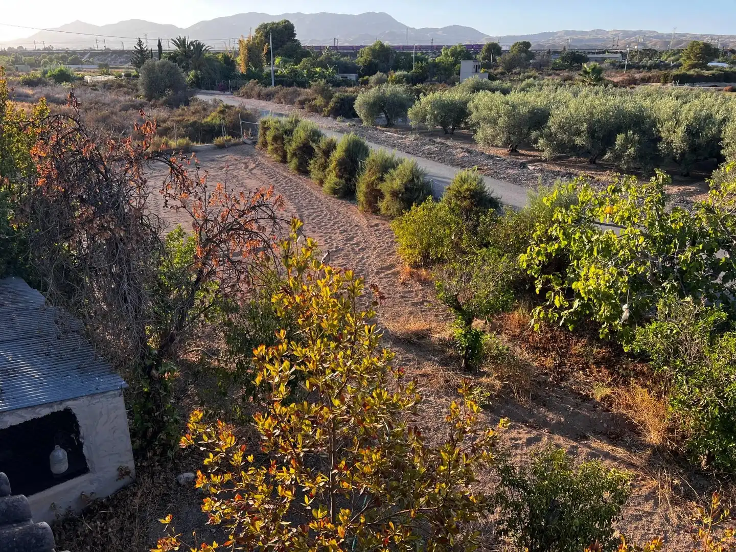Vista exterior de Casa o xalet en venda en Elche / Elx amb Jardí privat, Terrassa i Traster