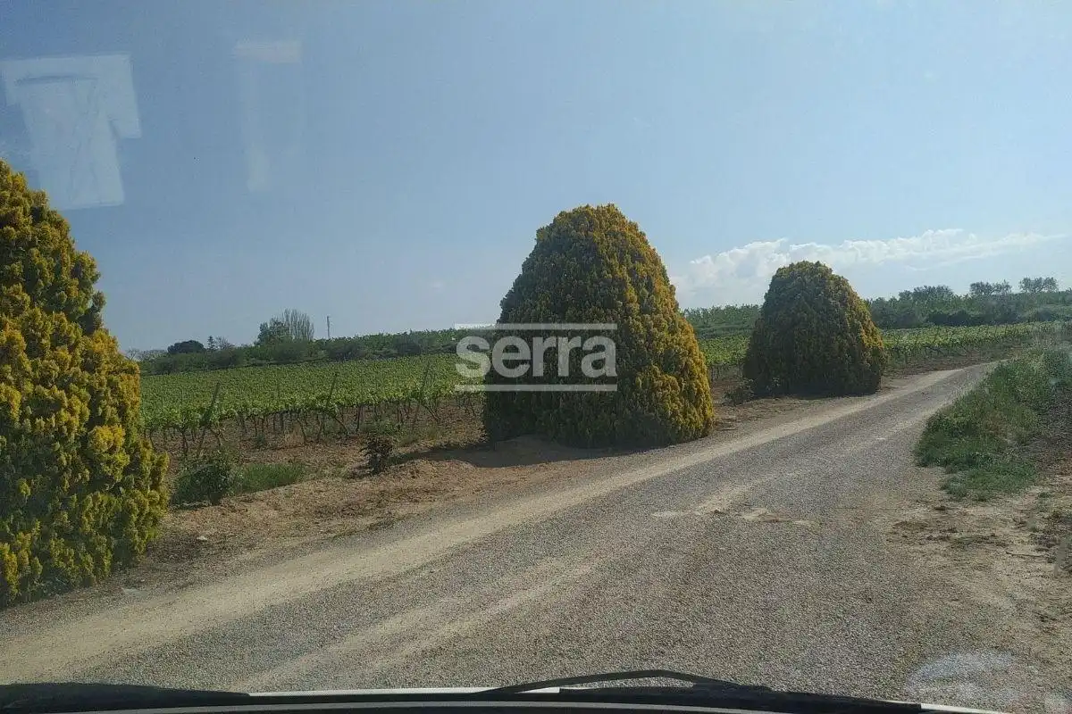 Rustikales Grundstück zum Verkauf in Sant Martí Sarroca, imagen 8