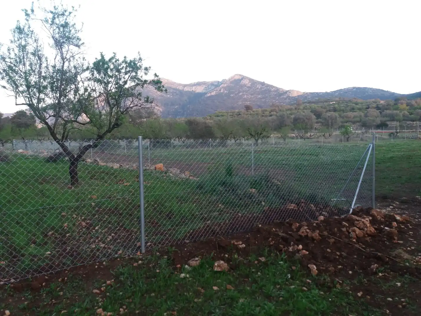 Casa rústica en venda a Alcalalí, imagen 35
