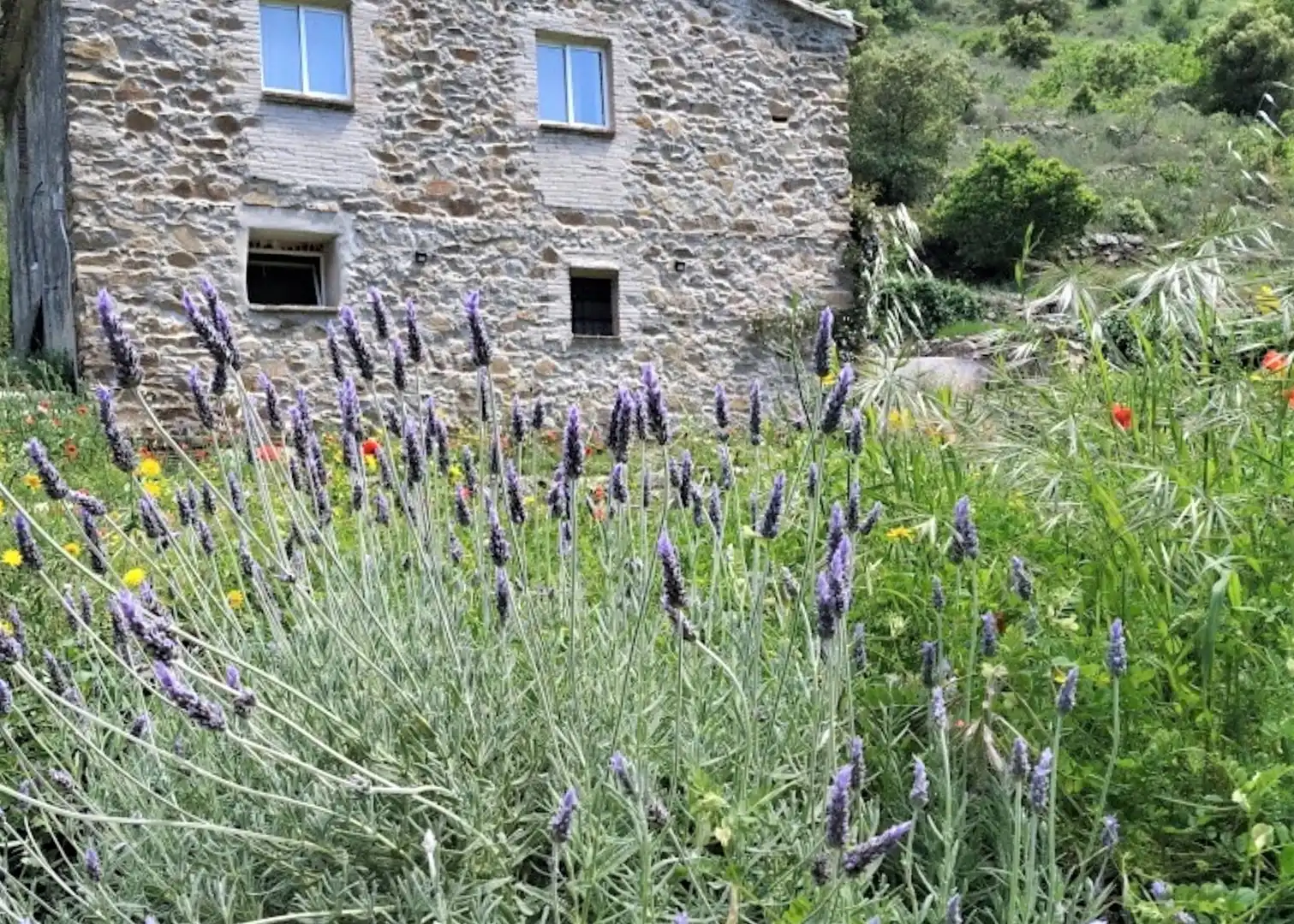 Jardín de Casa o chalet en venta en Porrera con Calefacción, Jardín privado y Terraza