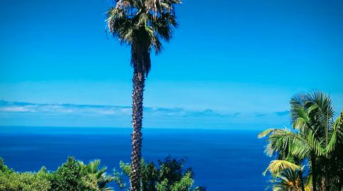 Photo 5 of Apartment for sale in Calle Orquídea, 3, Cuesta de la Villa, Santa Úrsula