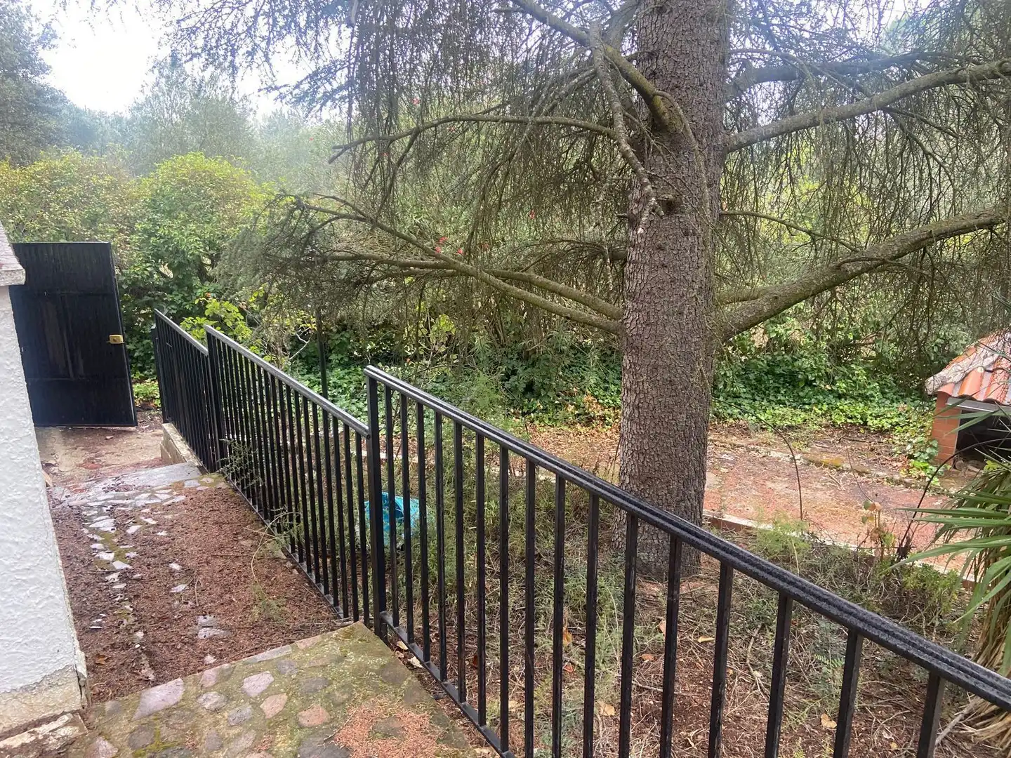 Jardí de Casa o xalet en venda en Piedrabuena amb Aire condicionat, Calefacció i Jardí privat