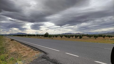 FINCA RUSTICA A PIE DE CARRETERA