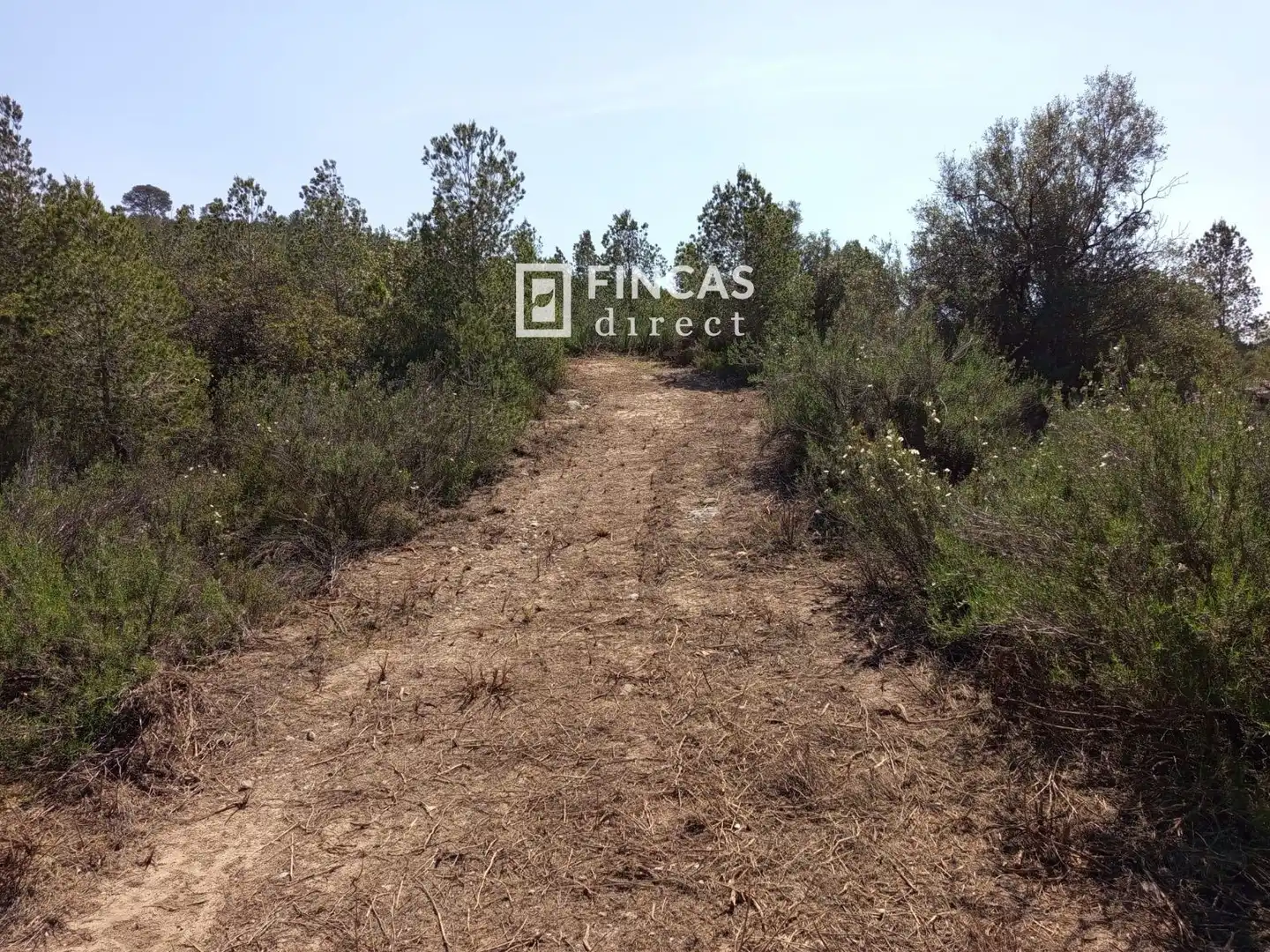Terrain rustique à vendre à WFXW+MPJ, imagen 17