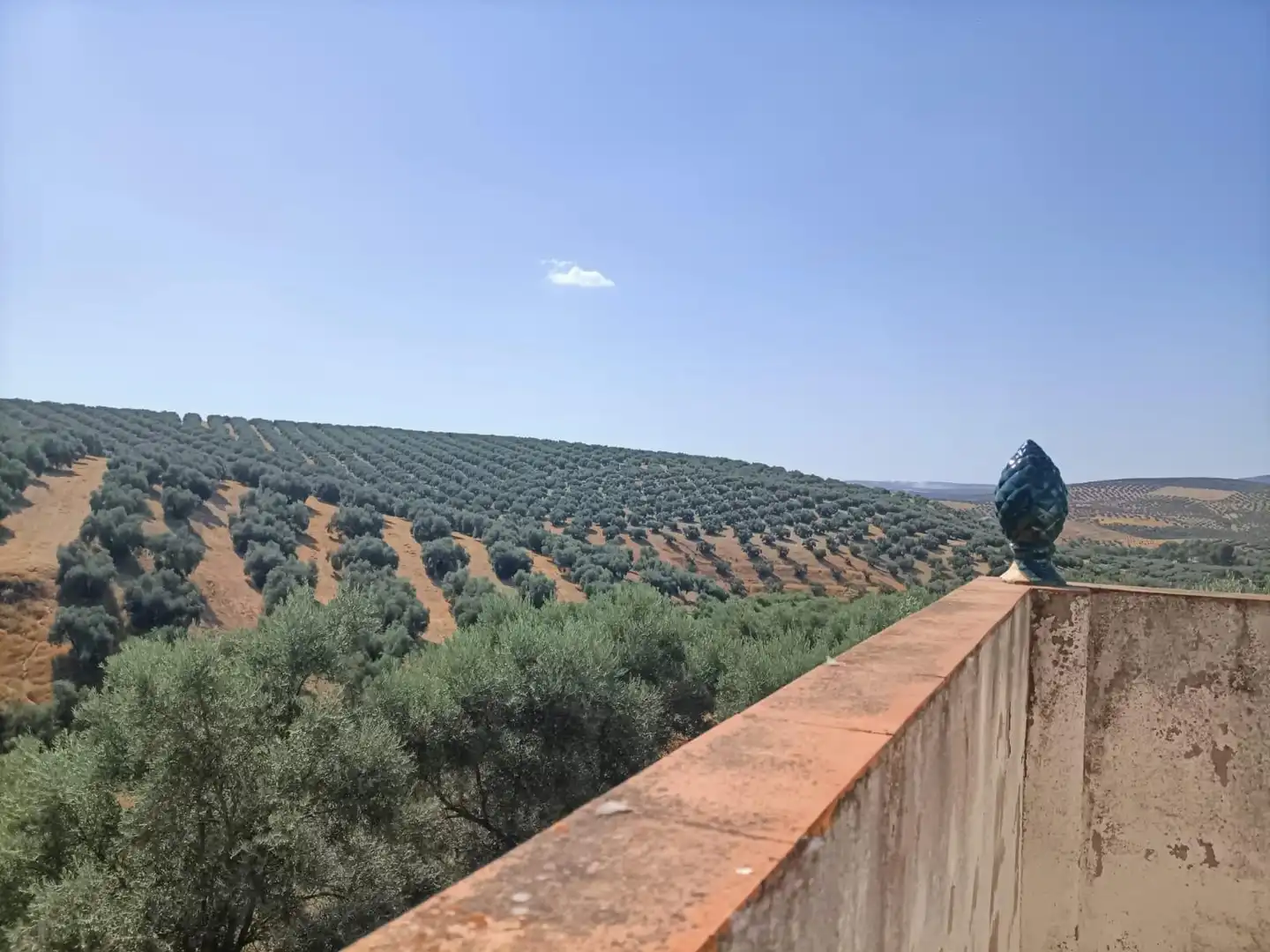 Garden of Houses for sale in Jauja